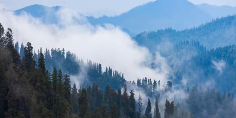 Fagu: The Village of Mist